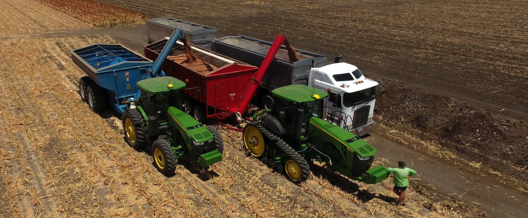 FitzsimmonsClearingSales Fitzsimmons Real Estate Clearing Sales